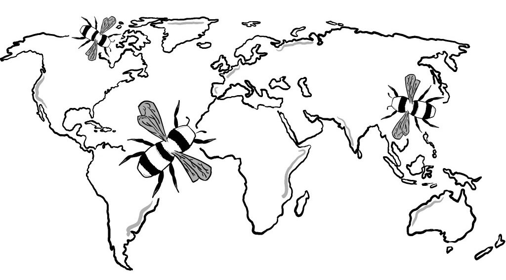 Announcing our Global Voices Lent Series: The Climate Pollinator!